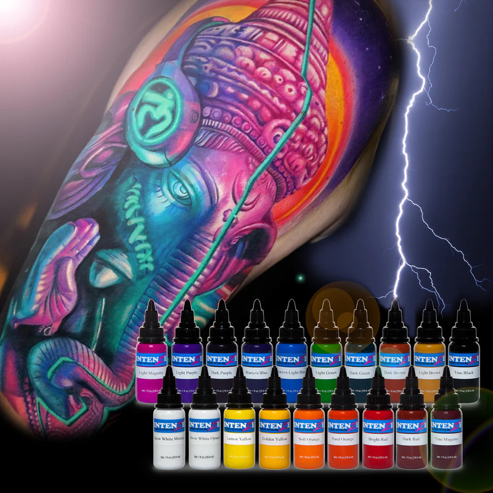 Basic 1/2oz Color Set - Intenze Tattoo Ink - 19 Bottles - Monster Steel