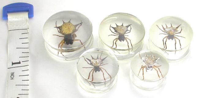 Spider - Real Spider inside Acrylic Plug - 16mm-24mm - Price Per 1 - Monster Steel
