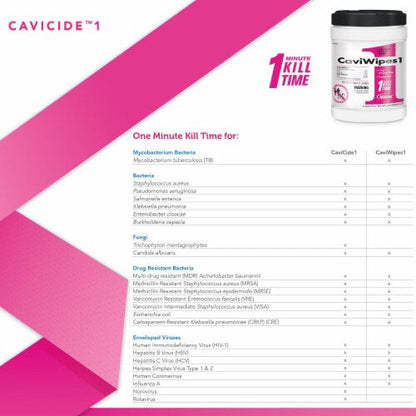 CaviWipes1 - One Tub of 6 x 6.75" CaviCide Surface Disinfectant Wipes 160 Count - Painful Pleasures