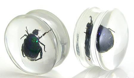 Green Beetle - Actual Green Bettle inside an Acrylic Plug - 16mm-24mm - Price Per 1 - Monster Steel