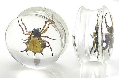 Spider - Real Spider inside Acrylic Plug - 16mm-24mm - Price Per 1 - Monster Steel