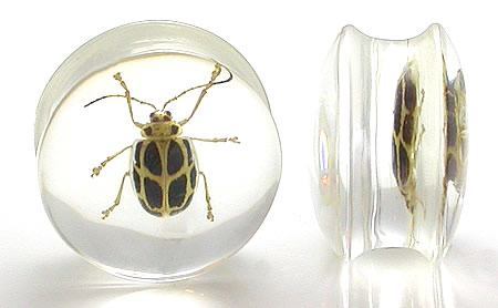 HBYG Bug - Cool Looking Bug inside an acrylic Plug for Gauged Ears - 16mm - 24mm - Price Per 1 - Monster Steel