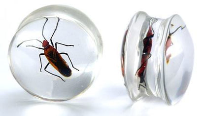 Red Bug or Pyrrhocorid inside an Acrylic Plug for Gauged Ears - 16mm - 24mm - Price Per 1 - Monster Steel