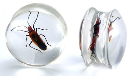 Red Bug or Pyrrhocorid inside an Acrylic Plug for Gauged Ears - 16mm - 24mm - Price Per 1 - Monster Steel