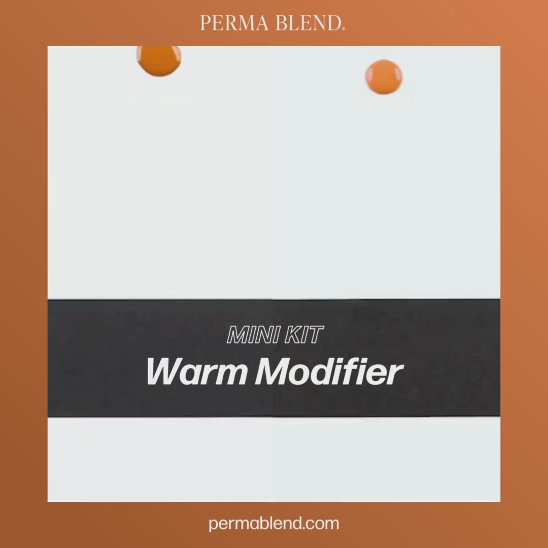 Warm Modifier Eyebrow Mini Set – Perma Blend – 3 1/2oz Bottles