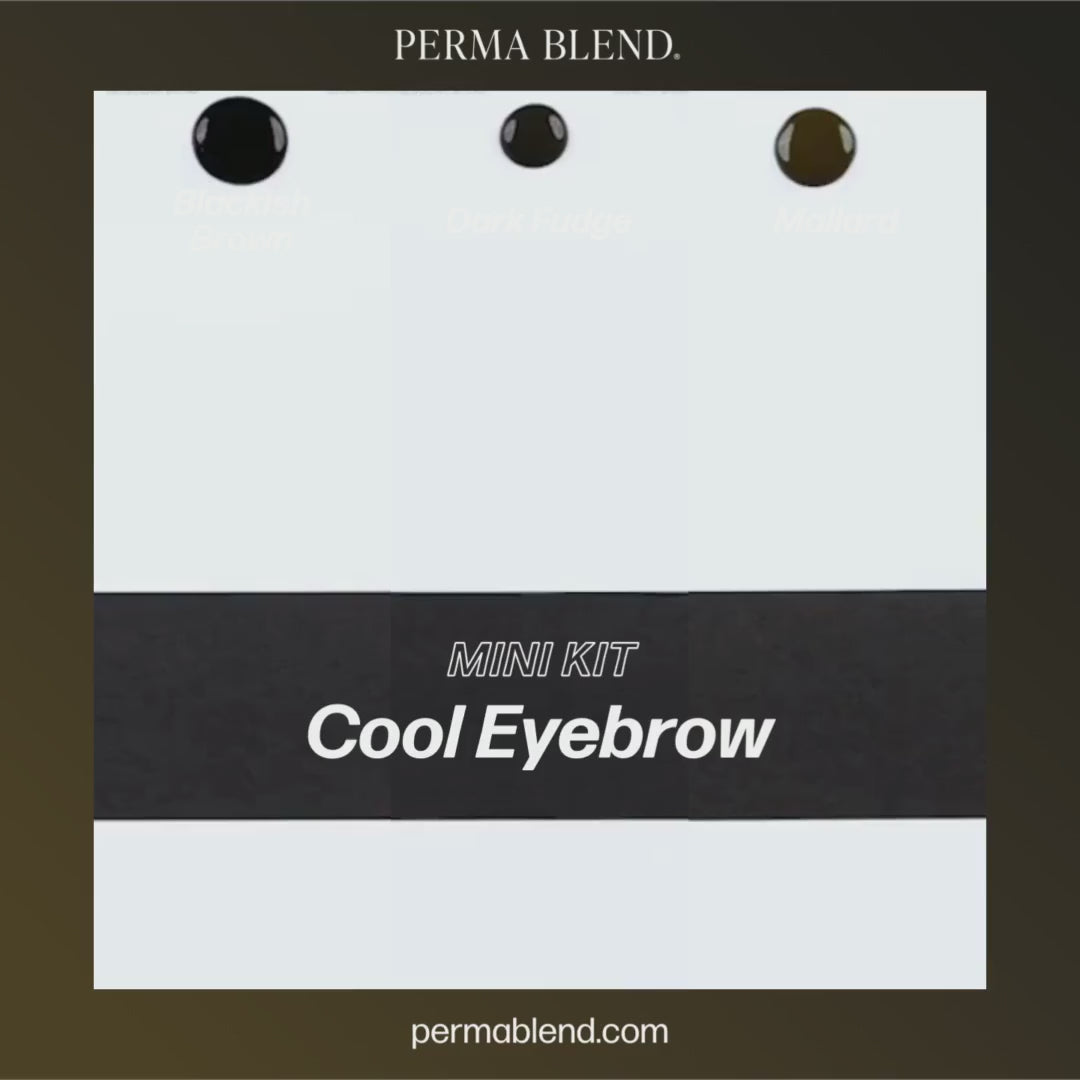 Video Cool Eyebrow Mini Set – Perma Blend – 3 1/2oz Bottles