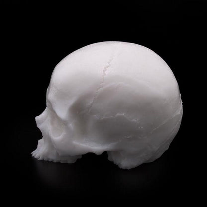 APOF Tattooable Synthetic Skull