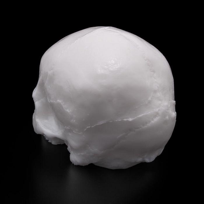 APOF Tattooable Synthetic Skull
