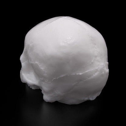 APOF Tattooable Synthetic Skull