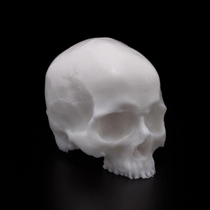 APOF Tattooable Synthetic Skull