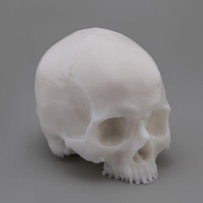 APOF Tattooable Synthetic Skull