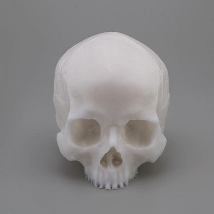 APOF Tattooable Synthetic Skull