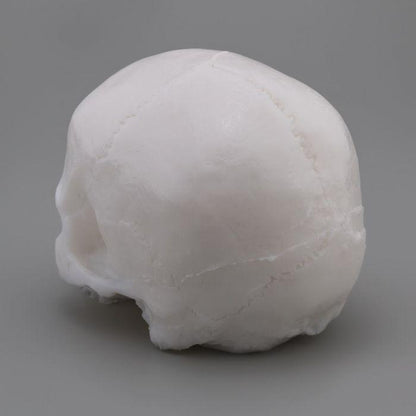 APOF Tattooable Synthetic Skull