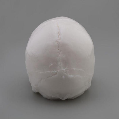 APOF Tattooable Synthetic Skull